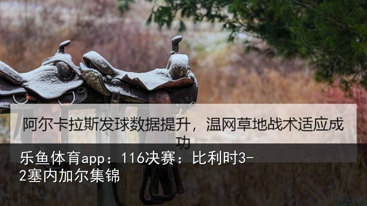 乐鱼体育app:116决赛:比利时3-2塞内加尔集锦