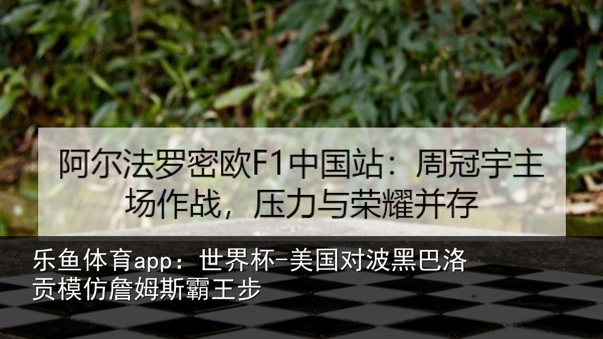乐鱼体育app:世界杯-美国对波黑巴洛贡相关情况