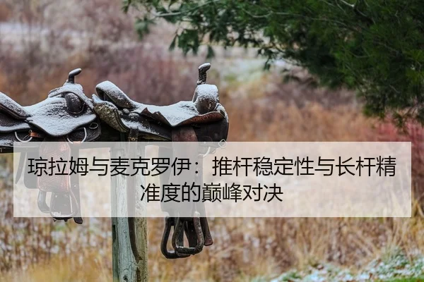 琼拉姆与麦克罗伊：推杆稳定性与长杆精准度的巅峰对决